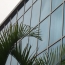 Curtain Walls — photo 14