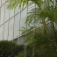 Curtain Walls — photo 9