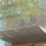 Skylights & Canopies — photo 24