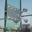 Spider Glazing — photo 19