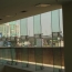 Spider Glazing — photo 9
